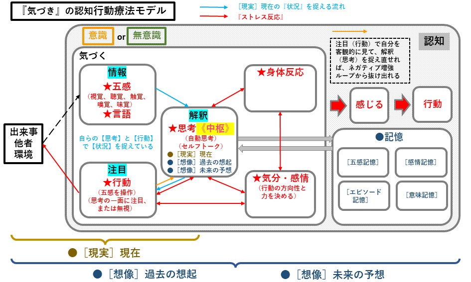 札幌　カウンセリング　こころの相談所　ブログ　『気づき』の認知行動療法モデル