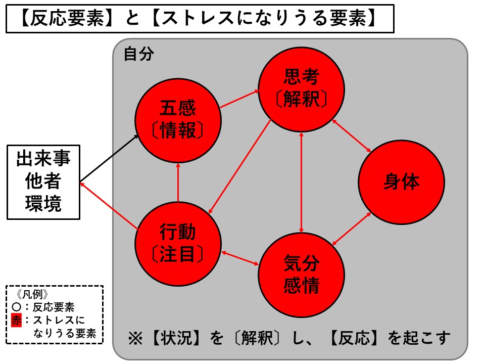 札幌　カウンセリング　こころの相談所　ブログ